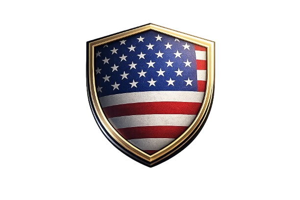 Global market focus icon